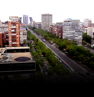 Panorámicas en bus